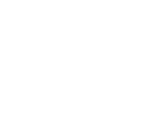 Bad Camera Magazine logo